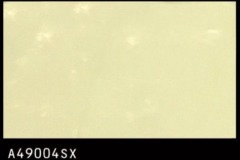 A49004SX